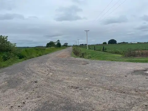 10 has acceso asfaltado y luz en frente.