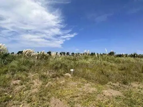 Ruta 11 400