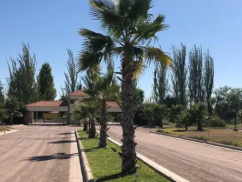 Terreno en Venta 20  mts Frente