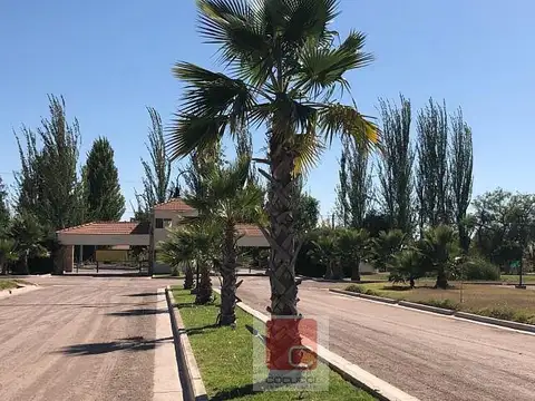 Terreno en Venta 20  mts Frente