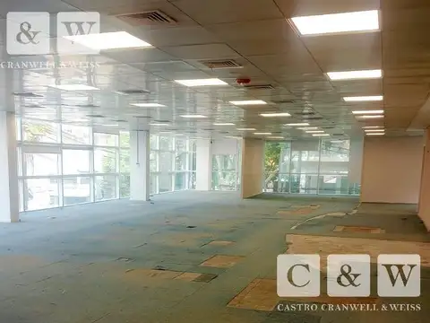 Oficina en Alquiler con 12 cocheras