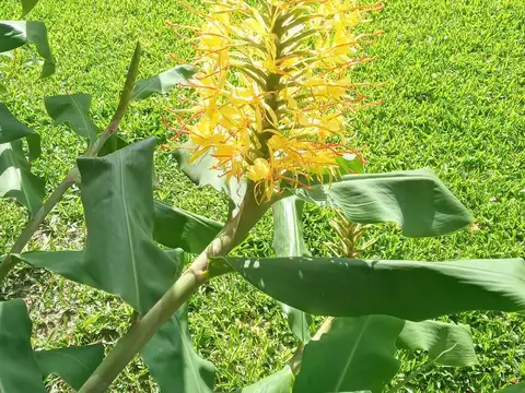 Depto Tipo Casa 2 ambientes con 1 baño