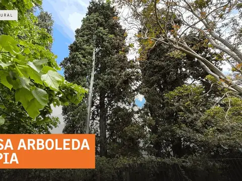 Terreno en Venta 49  mts Fondo