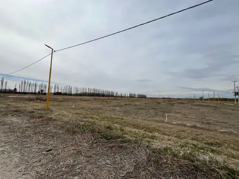 Terreno en Venta en Cervantes, USD 5.000