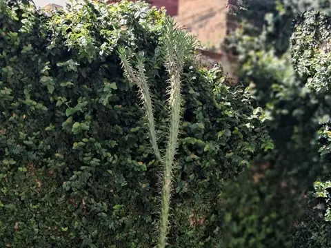 Casa en Venta 27 años