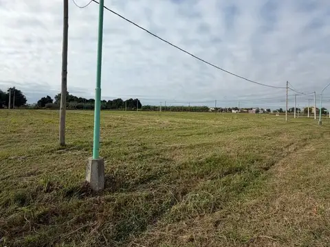 Terreno en Venta de 310,0 m2