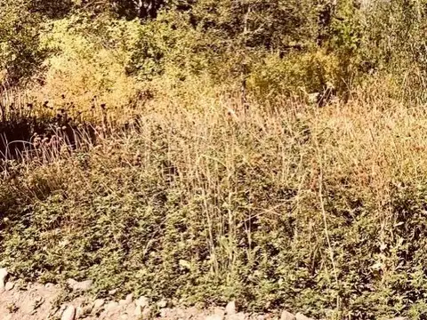 Terreno / Lote en venta de 1230m2 ubicado en San Martin de los Andes