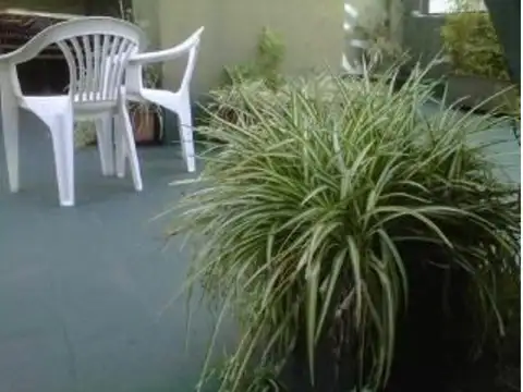 Disp 05-Dic 3 AMBIENTES C/Lavarropas, Terraza en Palermo