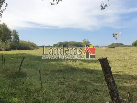 Lobo de mar y Pejerrey