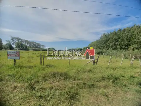 Lobo de mar y Pejerrey