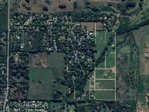 Monteverde
