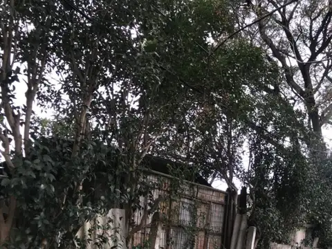 Terreno en venta de 176m2 ubicado en Brazo Oriental