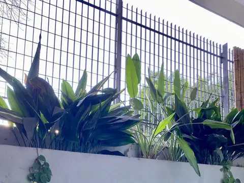 Departamento en Alquiler 8 años