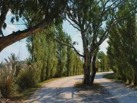 Terreno en Venta de 837,0 m2