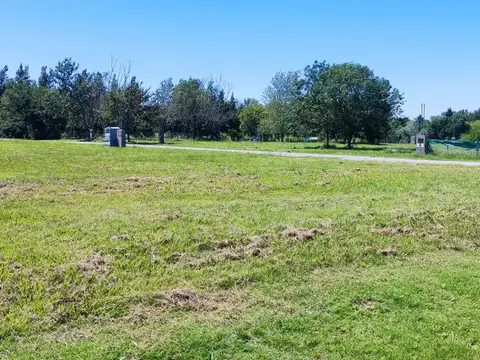 Lomas De Manzanares 100