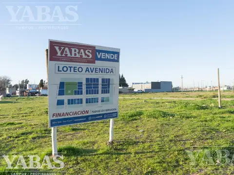 VENTA - LOTEO PREMIUM - ESCRITURACION INMEDIATA- San Pedro (Bs.As) Avenida Sarmiento 2900- FINANCIAC