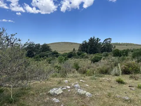 Campo en venta de 32ha ubicado en Garzon Abajo