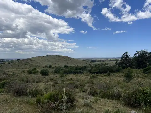 Campo en venta de 32ha ubicado en Garzon Abajo
