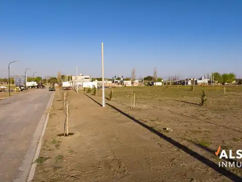 Los Pinos 4 - Alvarez