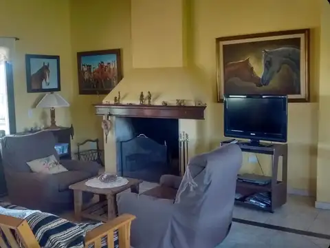 Haras El Malacate - Lote 100