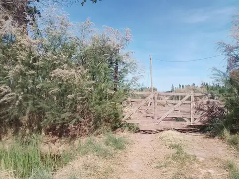 Terreno en Alquiler de 10000000,0 m2