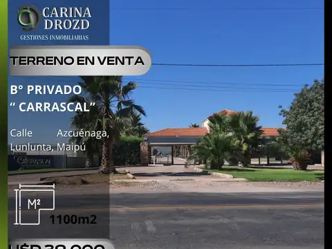 Terreno / Lote en venta de 1100m2 ubicado en Lunlunta