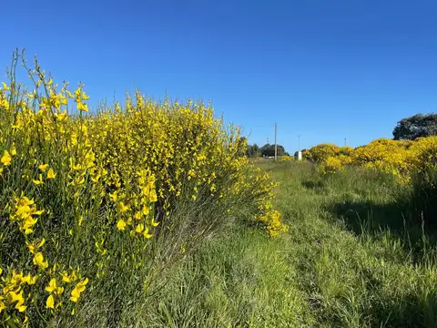 Terreno en Venta en Mar del Sud, USD 8.500