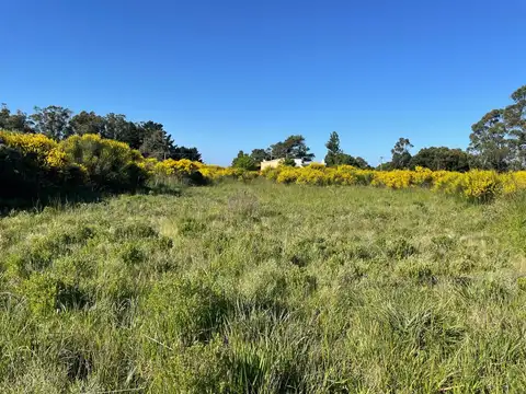 Lote de 600m2 en venta, Mar del Sud