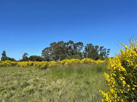 Terreno en Venta de 600,0 m2