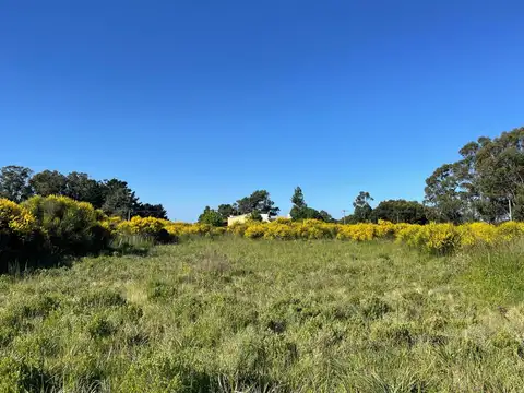 Terreno en Venta de 600,0 m2