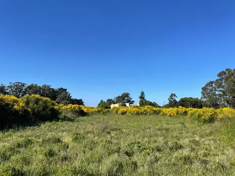 Terreno en Venta en Mar del Sud, USD 8.500