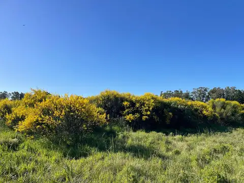 Lote de 600m2 en venta, Mar del Sud