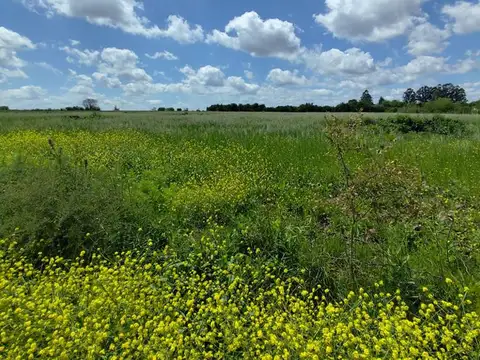 Terreno en Venta 200  mts Fondo