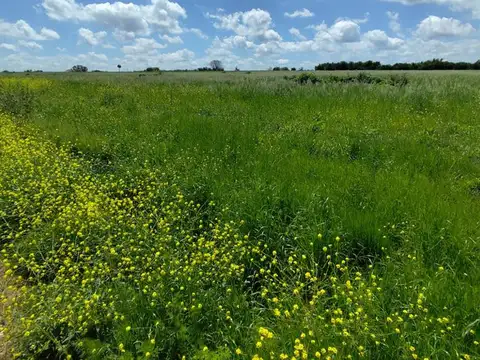 Terreno en Venta de 19000,0 m2