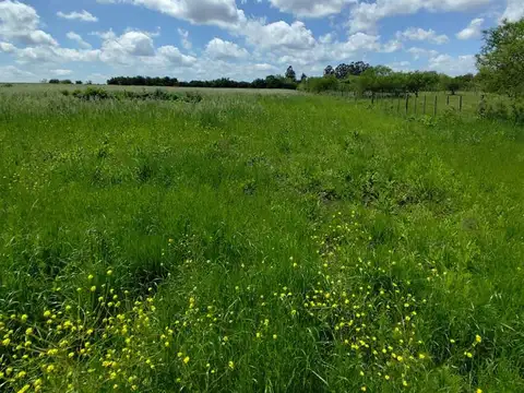 Terreno en Venta en Villa San José, USD 80.000