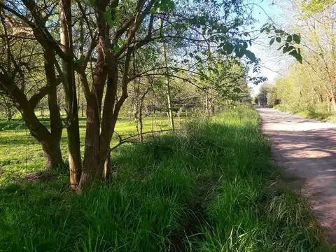 Campo en Venta de 1  ha