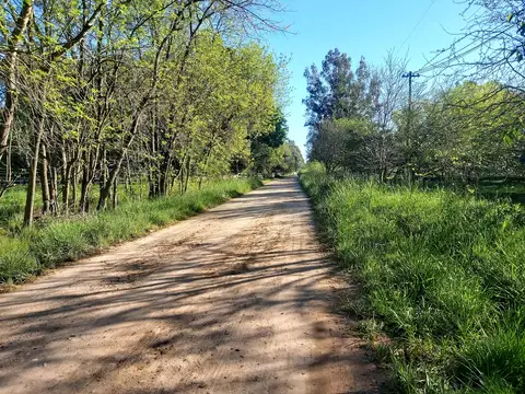 Campo en Venta de 1  ha