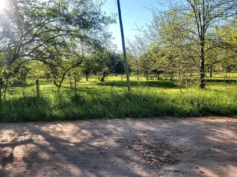 CAMPO EN ABASTO DE 10.427 MTS 2 TOTALES EN ABASTO: