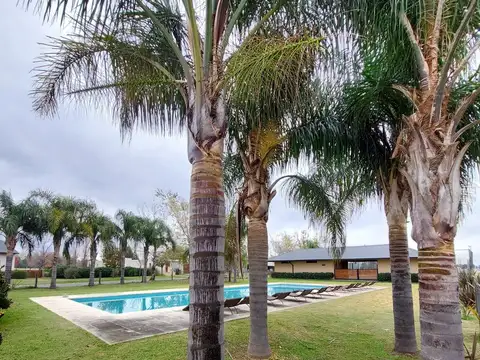 La Rinconada