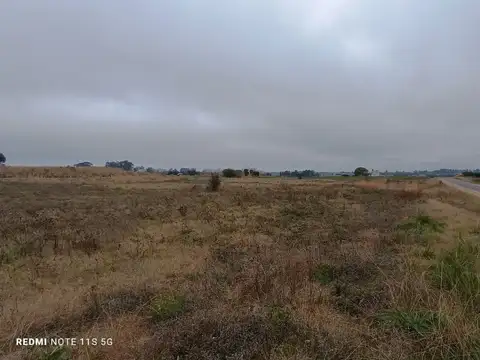 Terreno en Venta de 122481,0 m2