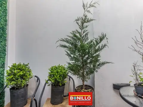 Depto Tipo Casa en Venta 50 años