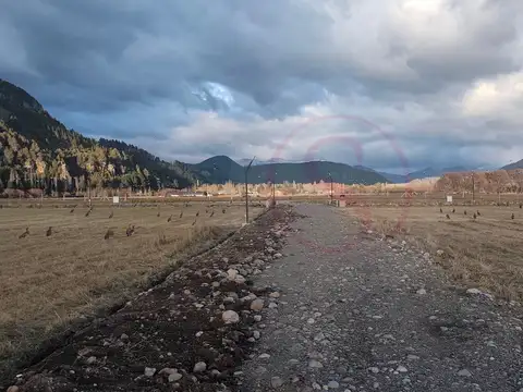 Terreno en Venta de 800,0 m2