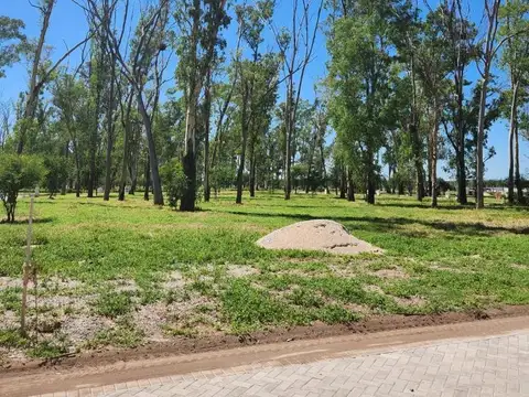 Lote 17 Manzana 9 S/n