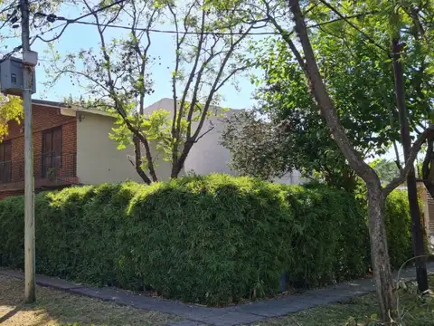 Mangrullo 900