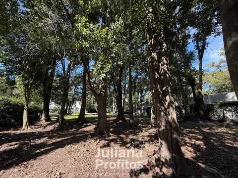 Terreno en Venta 40  mts Fondo