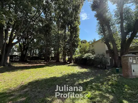 Fincas de Iraola I