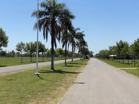 Terreno en Venta en Punta Chacra, USD 21.000