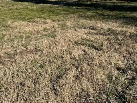 TERRENO EN VENTA EN BRAGADO