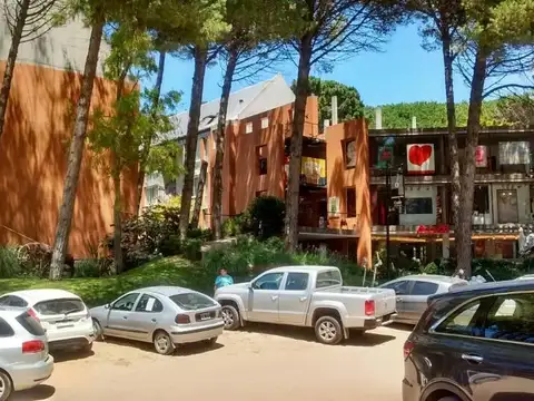 AVELLANO 200
