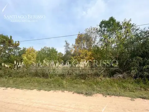 SANTA BRIGIDA - LOS CARDALES